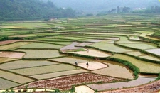 Endonezya İklimi Özellikleri Endonezya İklimi Özellikleri