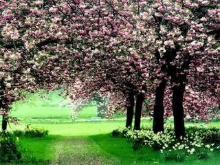 Denizli İklimi Türleri ve Özellikleri Denizli İklimi Türleri ve Özellikleri