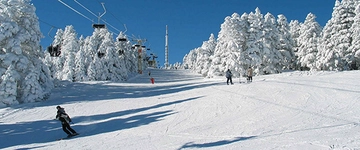 Kanada İklimi Özellikleri ve Faydaları Nelerdir? Kanada İklimi Özellikleri ve Faydaları Nelerdir?