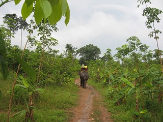 Muson İklimi Türleri ve Özellikleri Muson İklimi Türleri ve Özellikleri