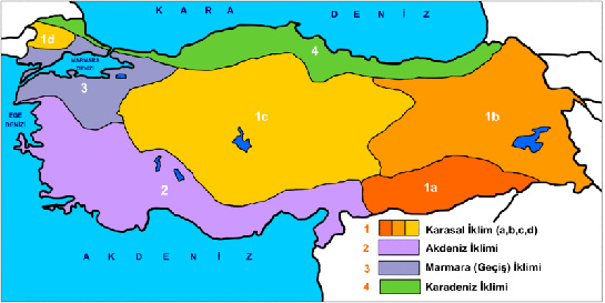 klimler ve zellikleri