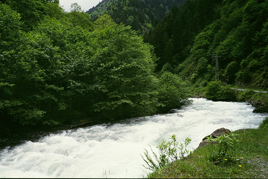 Karadeniz klimi